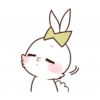 Bunny 24