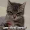 Michis 1 21