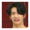 Stray Meme Kids 23
