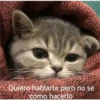 Michis 1 23