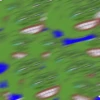 Pepe 21
