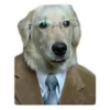 Awkward Animals 12