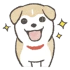 Shiba-Puppy 29
