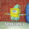 SpongeBob 24