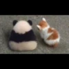 panda 7