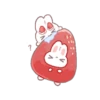 bunny pie 23