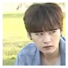 Stray Meme Kids 25