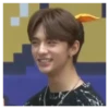Stray Meme Kids 28