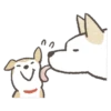 Shiba-Puppy 30