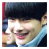 Stray Meme Kids 30