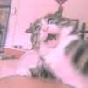 meow? are ywou owkay? 30