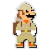 FI