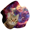 Space Cats 5