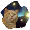 Space Cats 6