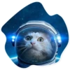 Space Cats 8