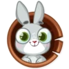 Boo the Bunny 7