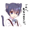 Boy of a black cat 5