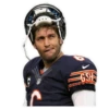 bearloga 8