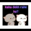 Chibi cat 9