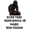 Stalker 6