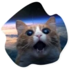 Space Cats 13