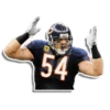 bearloga 11