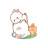 Bear Peter and Rabbit Molly 13