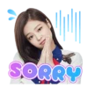 BlackPink 14