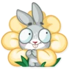 Boo the Bunny 14