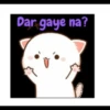 Chibi cat 16