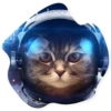 Space Cats 16