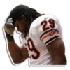 bearloga 14