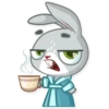 Boo the Bunny 18