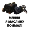 Stalker 15