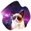 Space Cats 17