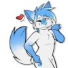 Sly Whitefox 17