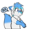 Sly Whitefox 19