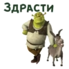 Shrek 17