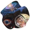 Space Cats 23