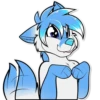 Sly Whitefox 21