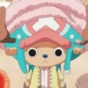 OP chopper 14