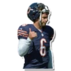 bearloga 22