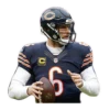 bearloga 25