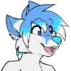 Sly Whitefox 26