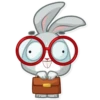 Boo the Bunny 26