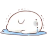 Soft and cute seal 23