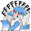 Sly Whitefox 27