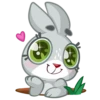 Boo the Bunny 27