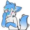 Sly Whitefox 29