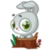 Boo the Bunny 30